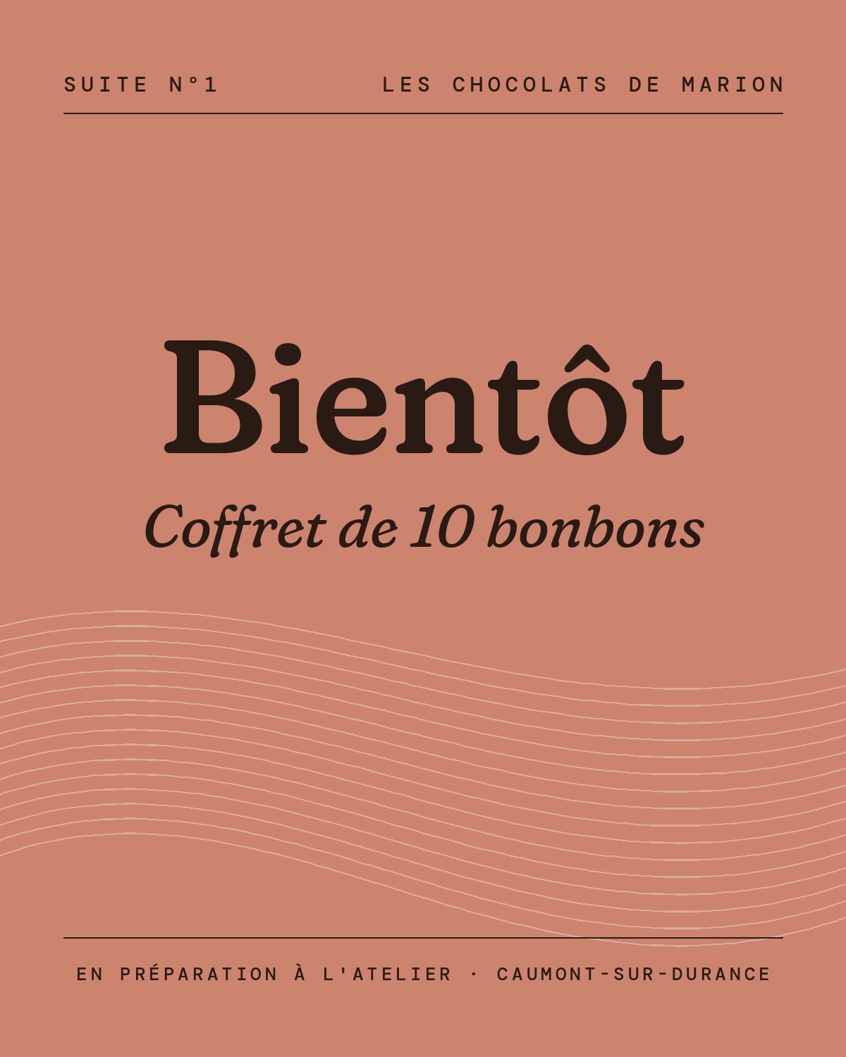 Coffret 10 bonbons de chocolat