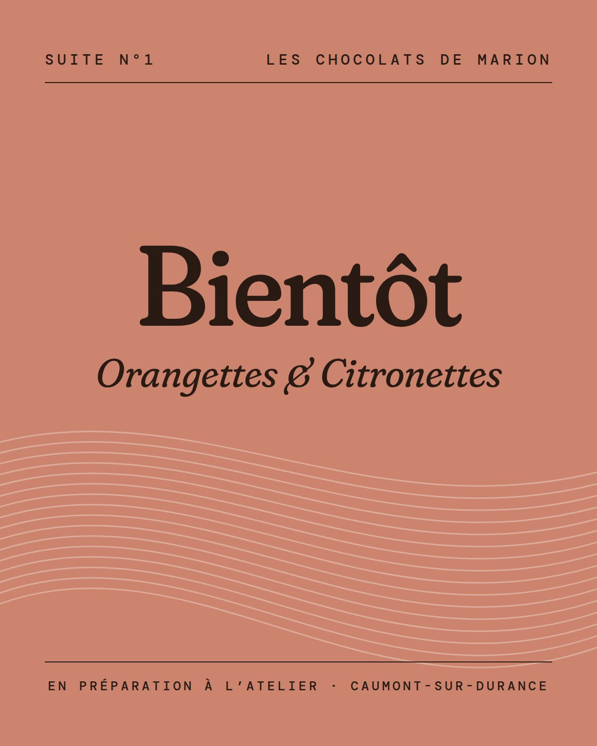 Orangettes et citronettes, bientôt disponibles chez Les chocolats de Marion
