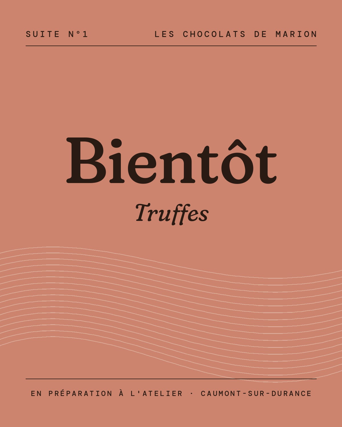 Truffes choco