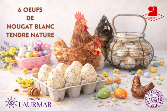 boîte de 6 œufs de nougat blanc tendre